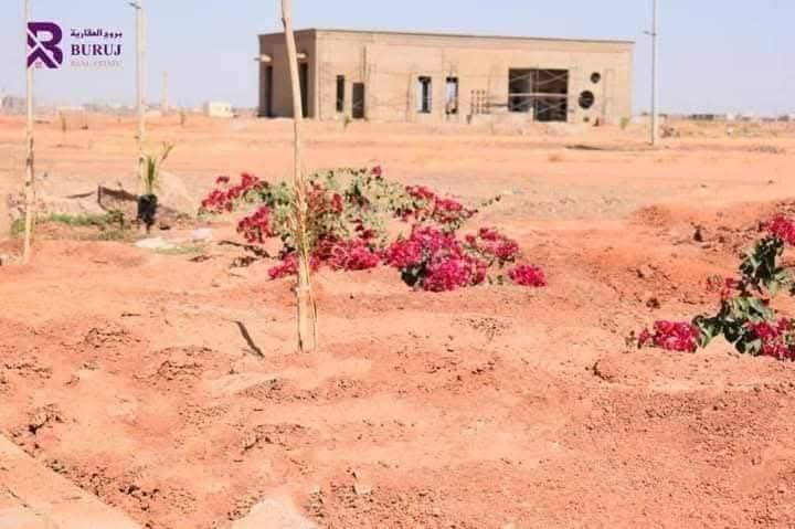 مندوب شركه بروج العقاريه